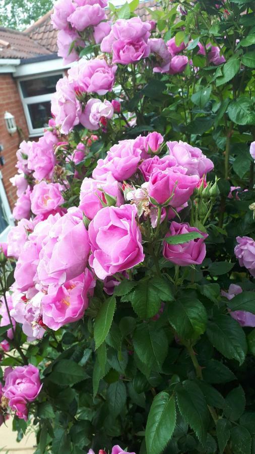Santi Bhavana Bed & Breakfast Westbury (Wiltshire) Exterior foto